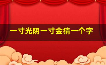 一寸光阴一寸金猜一个字