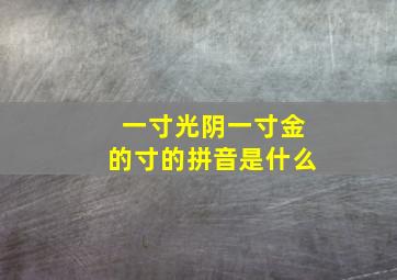 一寸光阴一寸金的寸的拼音是什么