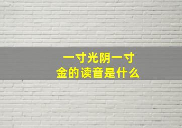 一寸光阴一寸金的读音是什么