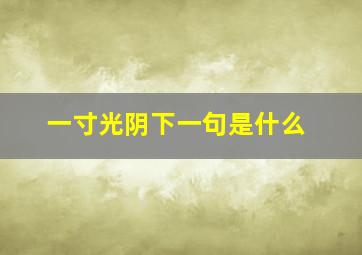 一寸光阴下一句是什么