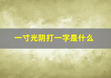 一寸光阴打一字是什么