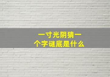 一寸光阴猜一个字谜底是什么