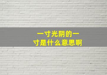 一寸光阴的一寸是什么意思啊