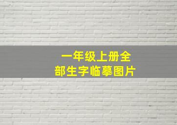 一年级上册全部生字临摹图片