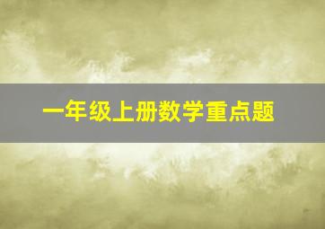 一年级上册数学重点题