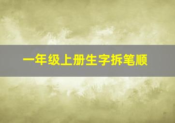 一年级上册生字拆笔顺