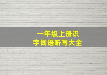 一年级上册识字词语听写大全