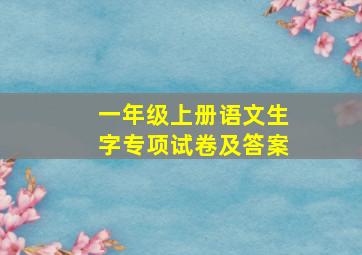 一年级上册语文生字专项试卷及答案