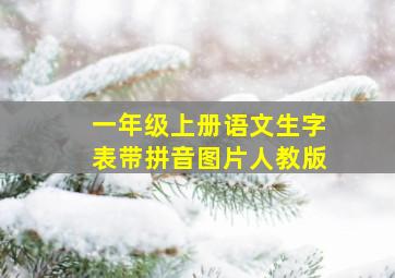 一年级上册语文生字表带拼音图片人教版