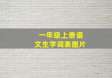 一年级上册语文生字词表图片