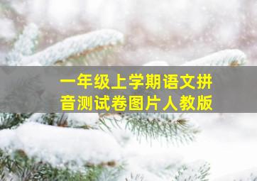 一年级上学期语文拼音测试卷图片人教版