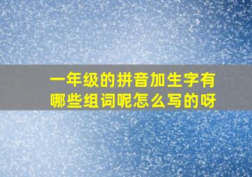 一年级的拼音加生字有哪些组词呢怎么写的呀