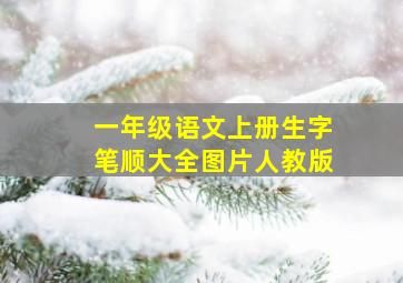 一年级语文上册生字笔顺大全图片人教版