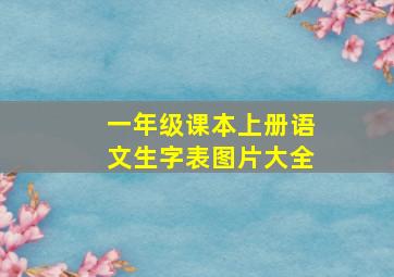 一年级课本上册语文生字表图片大全