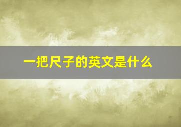 一把尺子的英文是什么