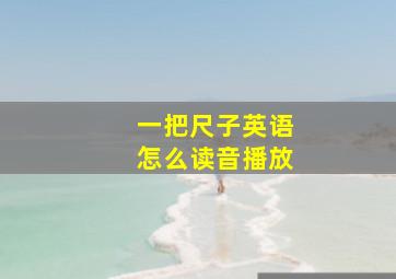 一把尺子英语怎么读音播放