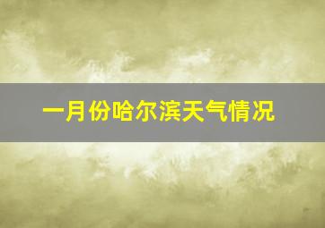 一月份哈尔滨天气情况