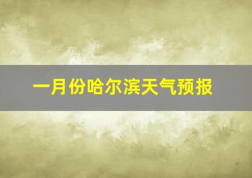 一月份哈尔滨天气预报