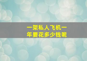 一架私人飞机一年要花多少钱呢