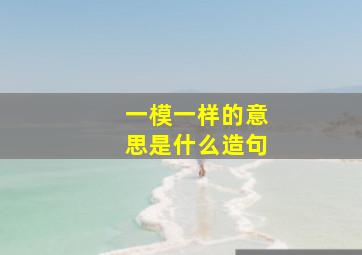 一模一样的意思是什么造句