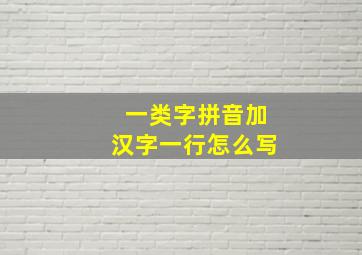 一类字拼音加汉字一行怎么写