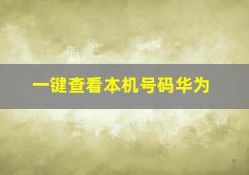 一键查看本机号码华为