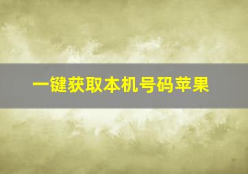 一键获取本机号码苹果