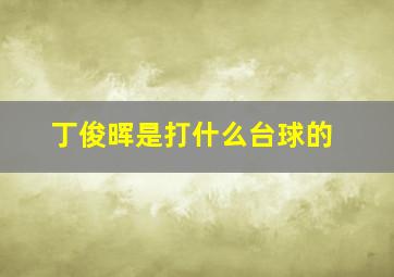 丁俊晖是打什么台球的