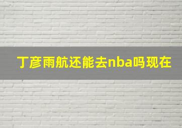 丁彦雨航还能去nba吗现在