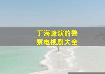 丁海峰演的警察电视剧大全