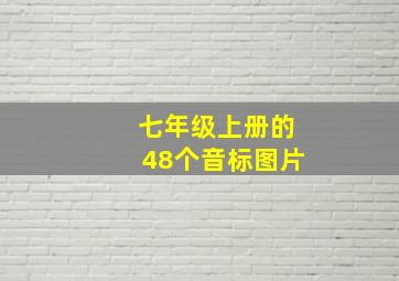 七年级上册的48个音标图片