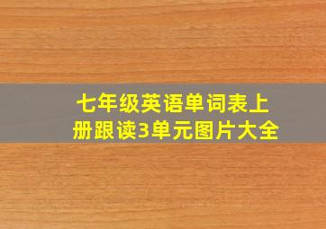 七年级英语单词表上册跟读3单元图片大全