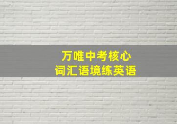 万唯中考核心词汇语境练英语