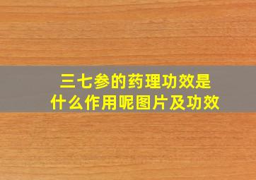 三七参的药理功效是什么作用呢图片及功效