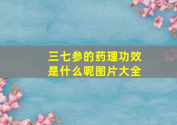 三七参的药理功效是什么呢图片大全