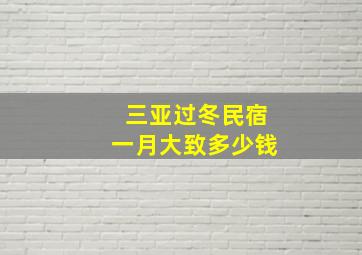 三亚过冬民宿一月大致多少钱