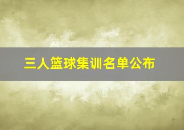 三人篮球集训名单公布