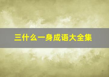 三什么一身成语大全集