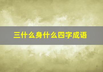 三什么身什么四字成语