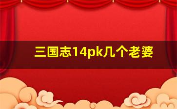 三国志14pk几个老婆