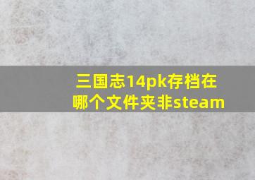 三国志14pk存档在哪个文件夹非steam