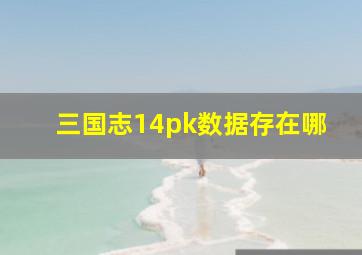 三国志14pk数据存在哪