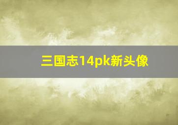 三国志14pk新头像