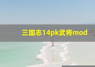 三国志14pk武将mod