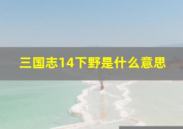 三国志14下野是什么意思