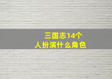 三国志14个人扮演什么角色