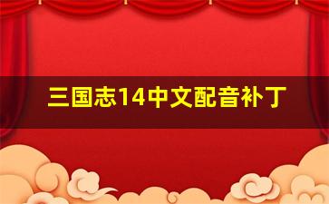 三国志14中文配音补丁