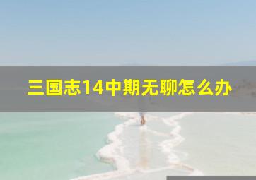 三国志14中期无聊怎么办