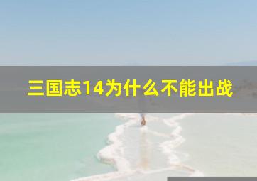 三国志14为什么不能出战