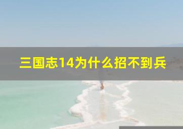 三国志14为什么招不到兵